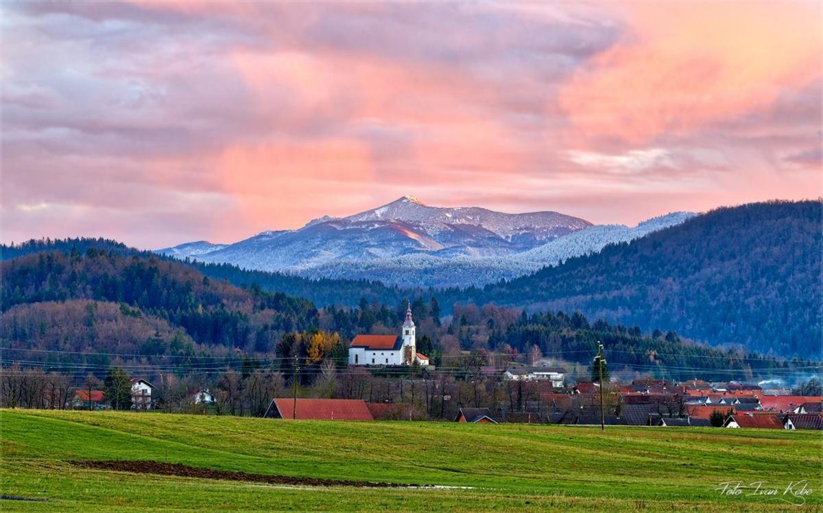 Guesthouse & Apartments Pri Stani Zerovnica Buitenkant foto